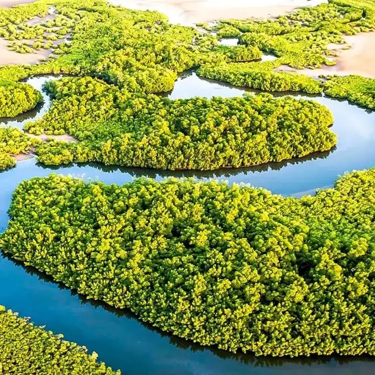 Yokan Lodge - Sine saloum - Sénégal